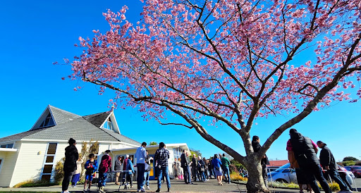 Our Lady of Perpetual Help