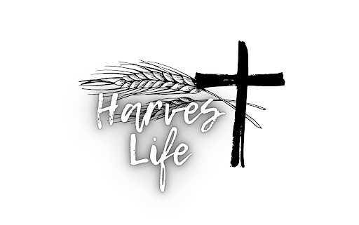Harvest Life Church Blenheim