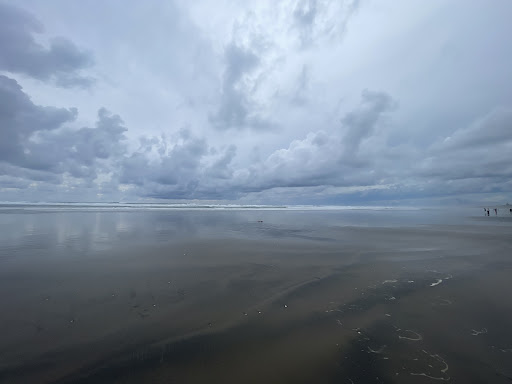 Muriwai Beach