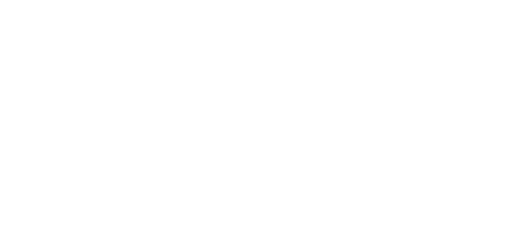 grace bible church dunedin
